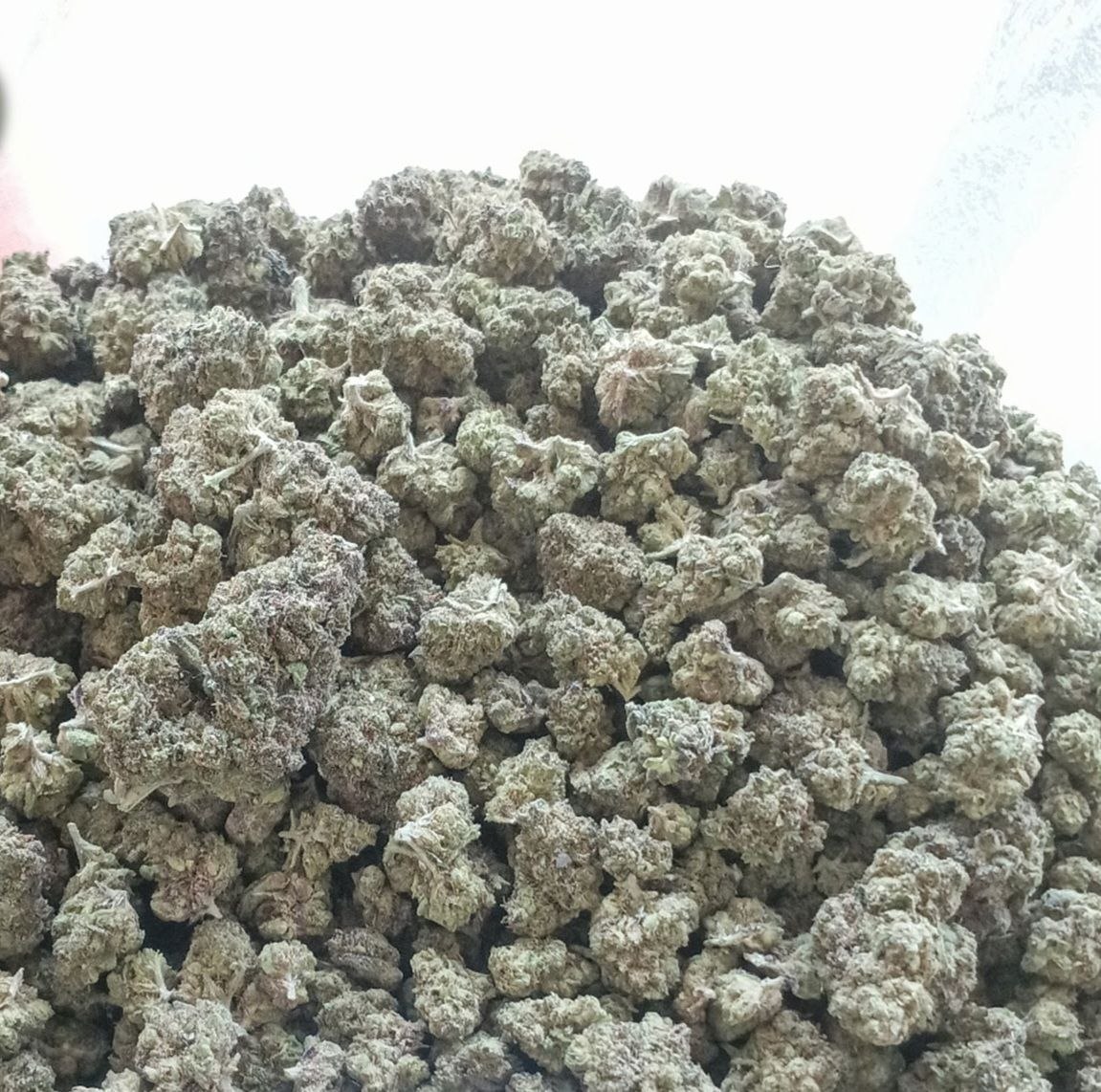 Top shelf budget flower